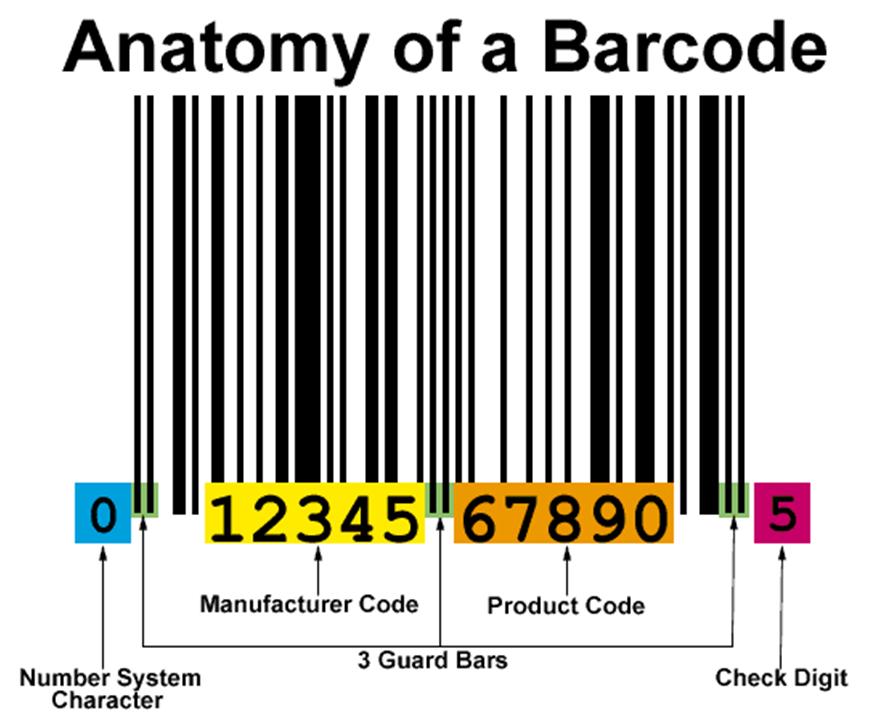 Penjelasan Mengenai Anatomi Barcode 