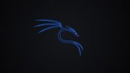 Kelebihan dan Kekurangan Kali Linux OS