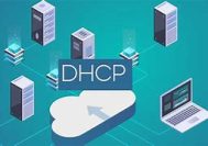 Pentingnya DHCP dalam Jaringan Modern