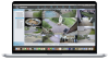 Instalasi CCTV Ke Komputer